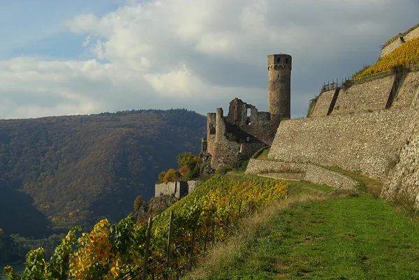 Ehrenfels — Stock Photo, Image