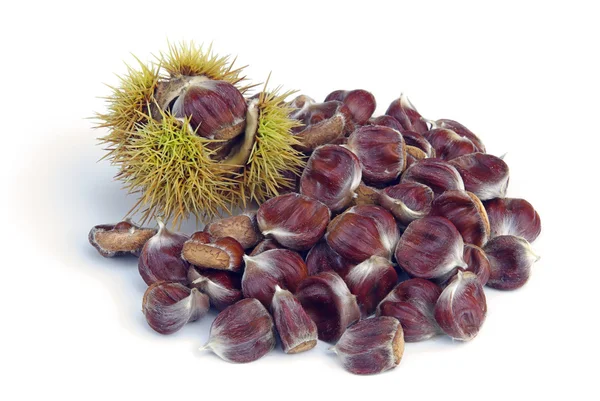 Sweet chestnut — Stock Photo, Image