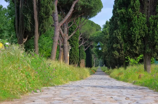 Via Appia Antica — стоковое фото