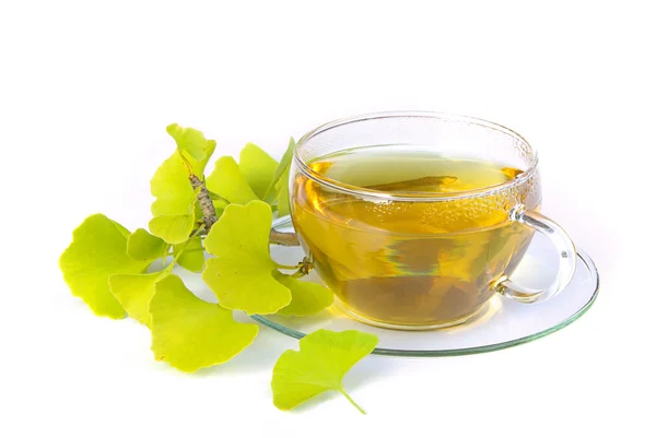 Tea ginkgo — Stock Photo, Image