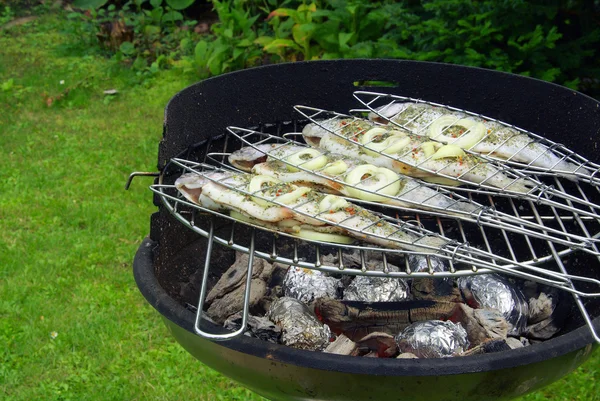 Grilling trout — Stock Photo, Image