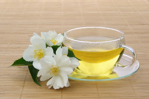 Tea elder flower — Stock Photo, Image
