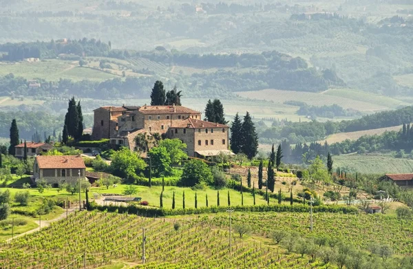 Tuscany vineyard landscape Stock Picture