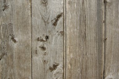 yakın çekim plank
