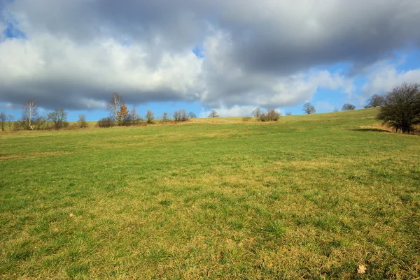 Grasland — Stockfoto