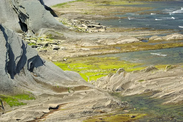 Costa Vasca Zumaia yakınlarında — Stok fotoğraf