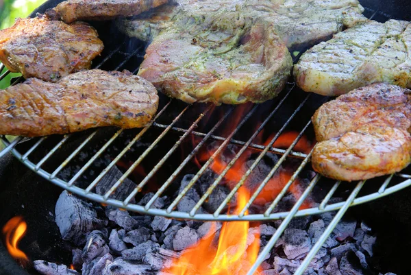 Barbekü — Stok fotoğraf