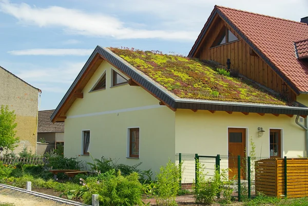 Zelená střecha — Stock fotografie