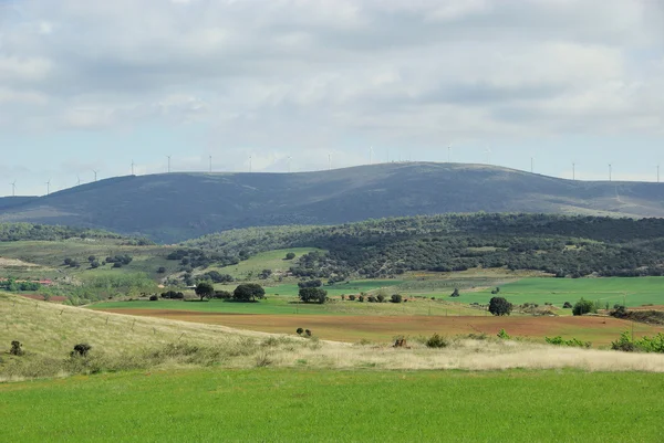 Castilië veld — Stockfoto