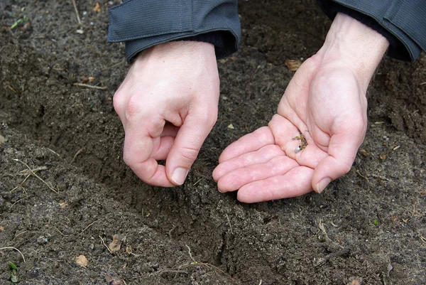 Planteringssäsongen — Stockfoto