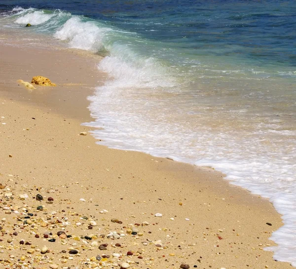 Пляж с волнами — стоковое фото