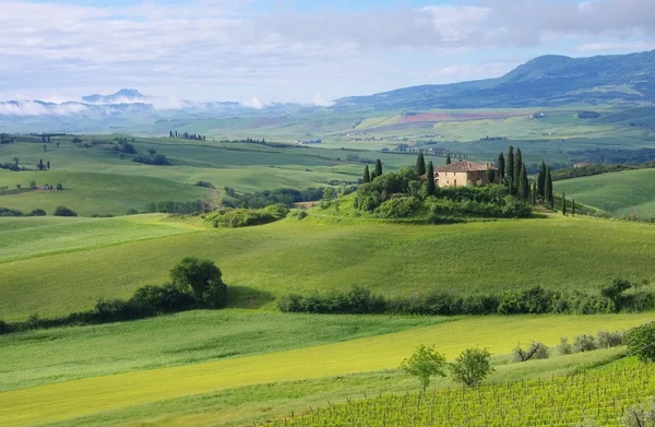 Beautiful landscape with tuscany house — Stock Photo, Image