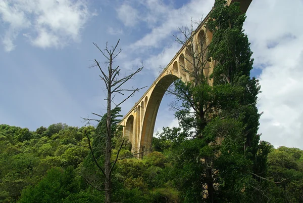 Guadalupe bridge — Stock Photo, Image