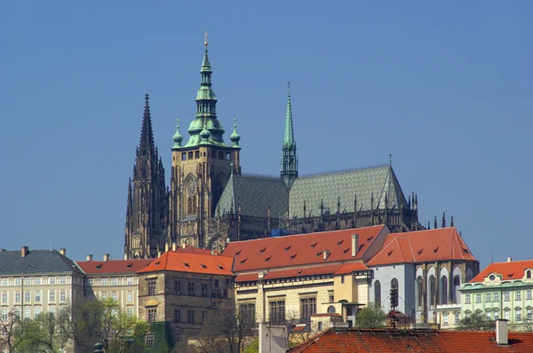 Prag-katedralen — Stockfoto