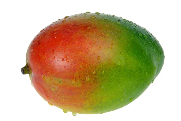 Стиглі манго — стокове фото