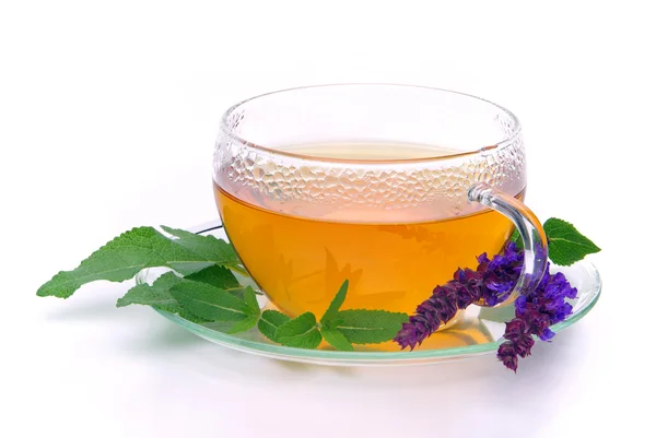 Salvia de té — Foto de Stock