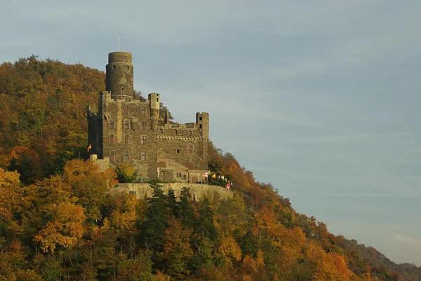 Castello del mouse — Foto Stock