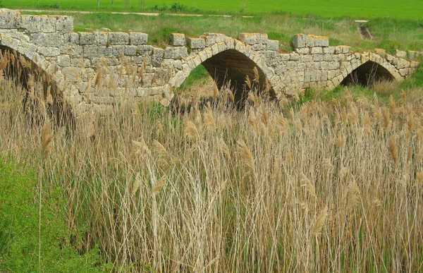 Ponte romana de Sasamon — Fotografia de Stock