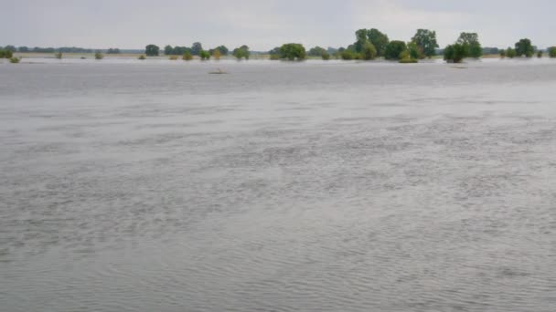 Sungai Elbe banjir — Stok Video