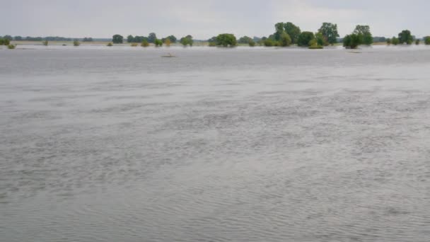 Inundación del río Elba — Vídeos de Stock