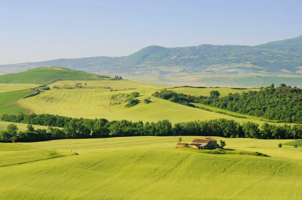 Toszkán dombok, Olaszország — Stock Fotó