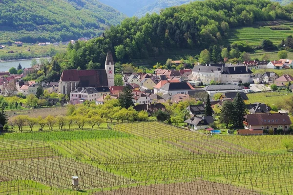 Wachau 뱉 어 — 스톡 사진