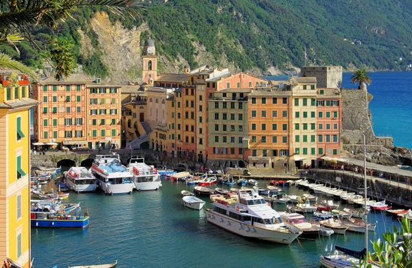 Camogli haven — Stockfoto