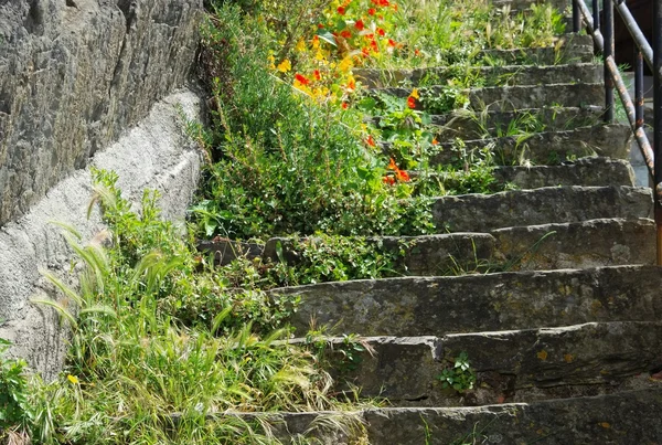 Escalier Cinque Terre Riomaggiore — Photo