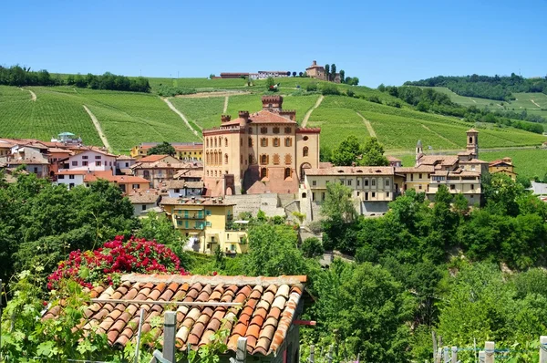 Barolo. — Fotografia de Stock