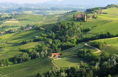 Barolo Castello di La Volta 