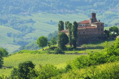 Barolo Castello di La Volta 