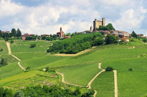 Serralunga d Albafrische Pflaumen in einen Korb und Blumen — Stockfoto