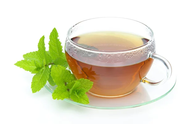 Tea Peppermint — Stock Photo, Image