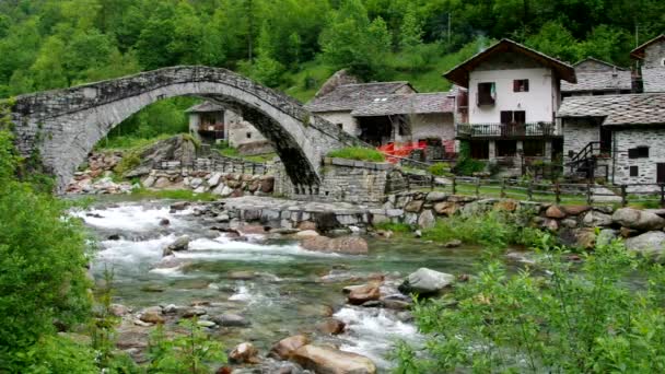 Fondo em Alpes — Vídeo de Stock