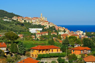 Cervo