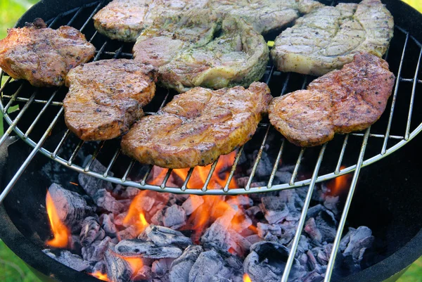 Barbecueën — Stockfoto