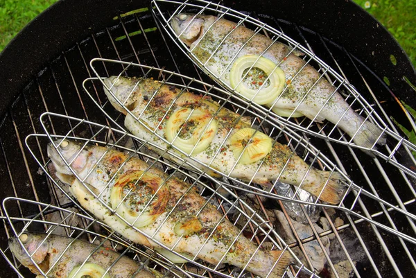 Grilling trout — Stock Photo, Image