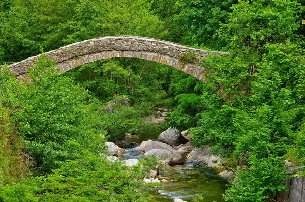 Puente Nasino — Foto de Stock