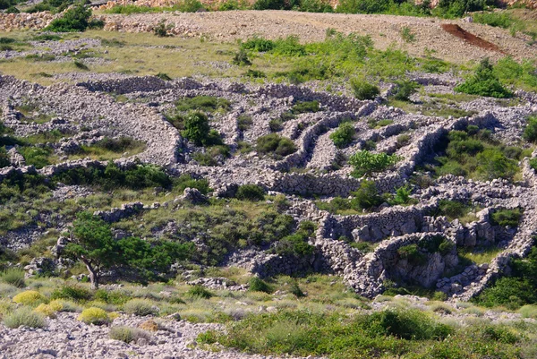 Dry stone wall Stara Baska — Stock Photo, Image