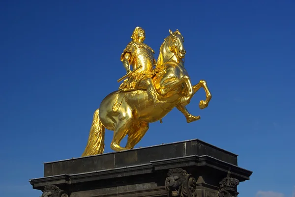 Dresden gouden ridder — Stockfoto