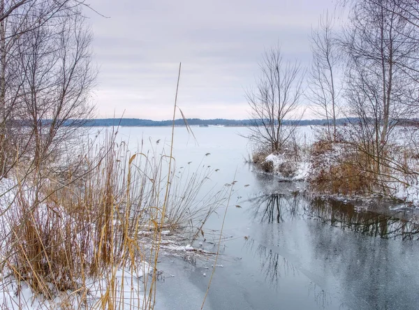 Graebendorfer Lake Lusatian Lake District Winter Germany — Stock fotografie