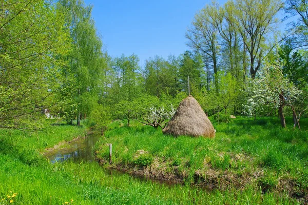 Typical Landscape Spree Forest Spring Brandenburg — стоковое фото