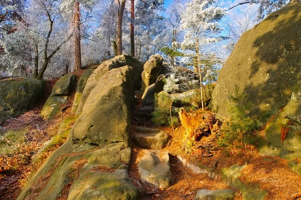 Wandelpad Het Elbsandsteingebergte Herfst — Stockfoto