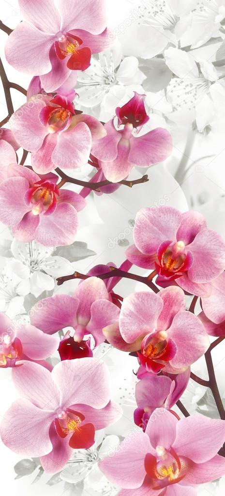 Flowering Orchids and Cherry decoration