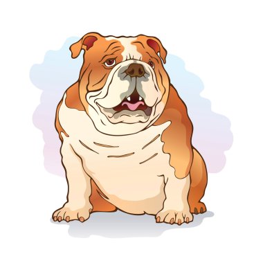 İngilizce bulldog çizimi