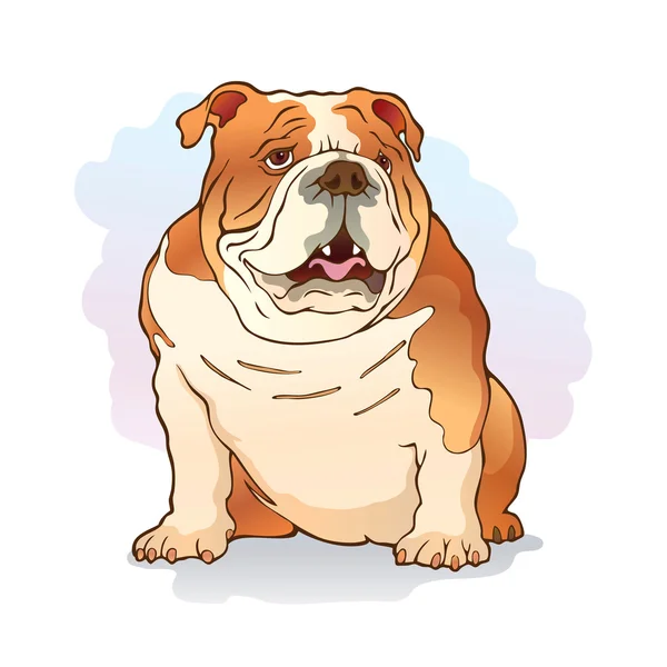 Illustrazione del bulldog inglese — Vettoriale Stock