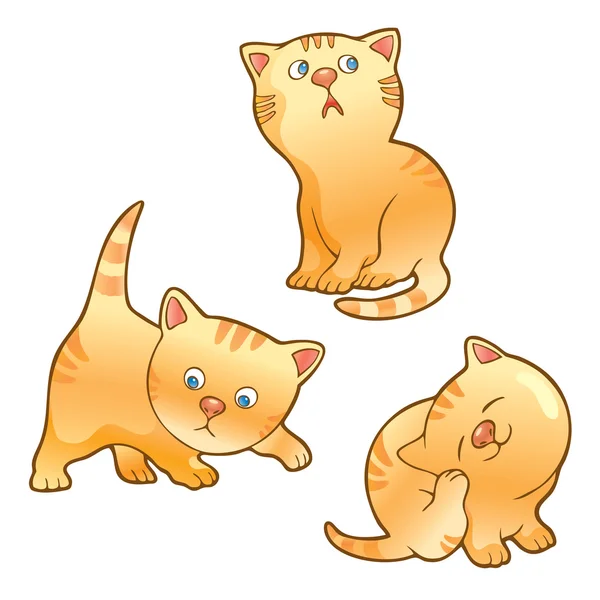 Grappige kittens — Stockvector