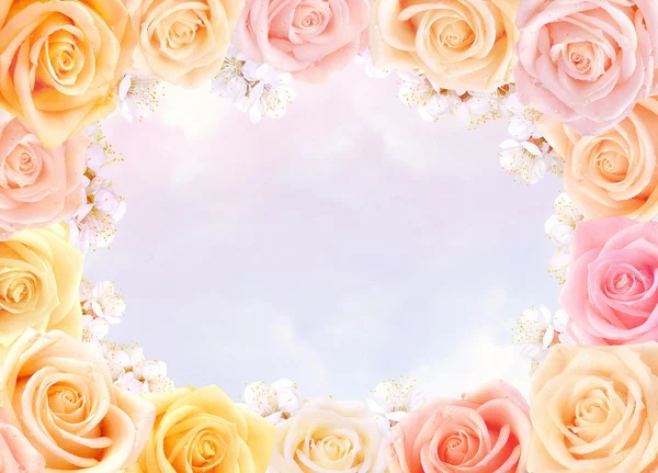 Roses and cherry flowers frame — Stock Photo, Image