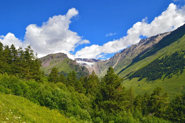 Valle della montagna — Foto Stock