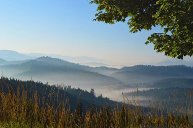 Carpathian dağlarında gün doğumu. Dağ tepelerinin siluetleri ve arka planda sabah sisi. Ön planda canlı çimenler.